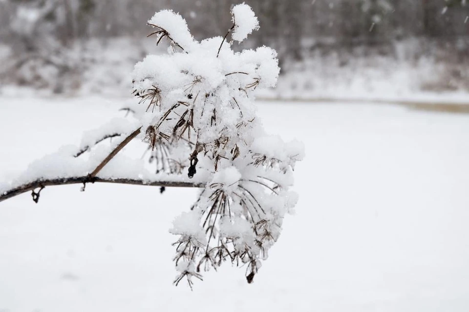 Сильный снегопад ожидается в Казахстане 8 декабря