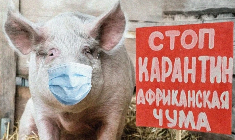 Карантин снят на пятой базе - можно приезжать за покупками. Фото из архива "КП".