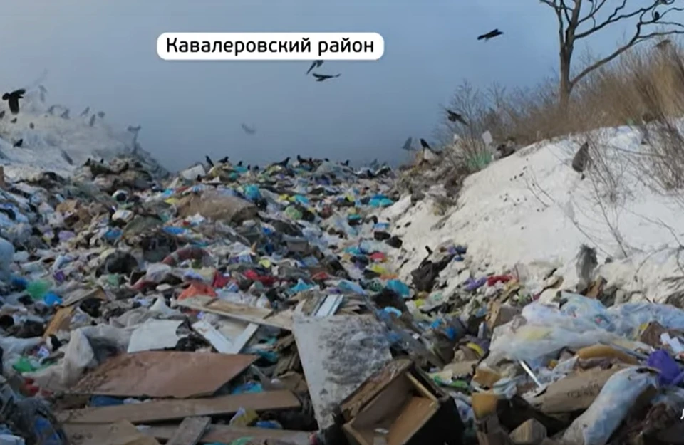Фото: принтскрин видео, otvprim.ru