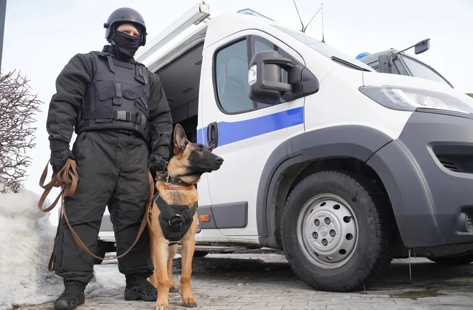 В обстоятельствах произошедшего разбираются следователи.
