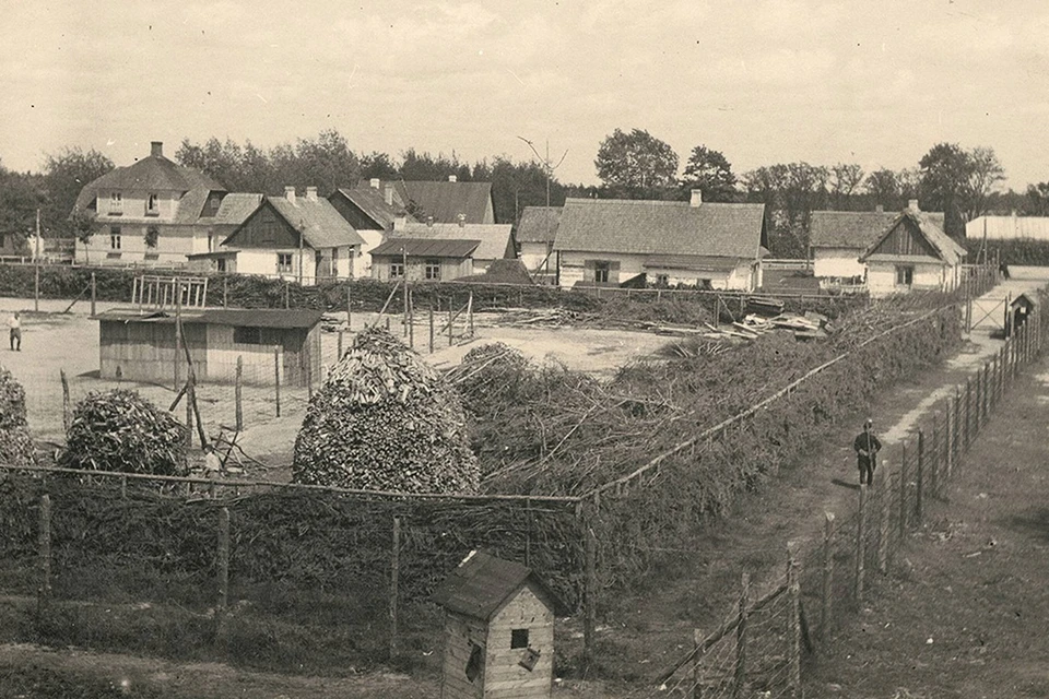 Весной 1942 года нацисты построили на оккупированной территории Польши, недалеко от границы с Белоруссией и Украиной, лагерь смерти Собибор.