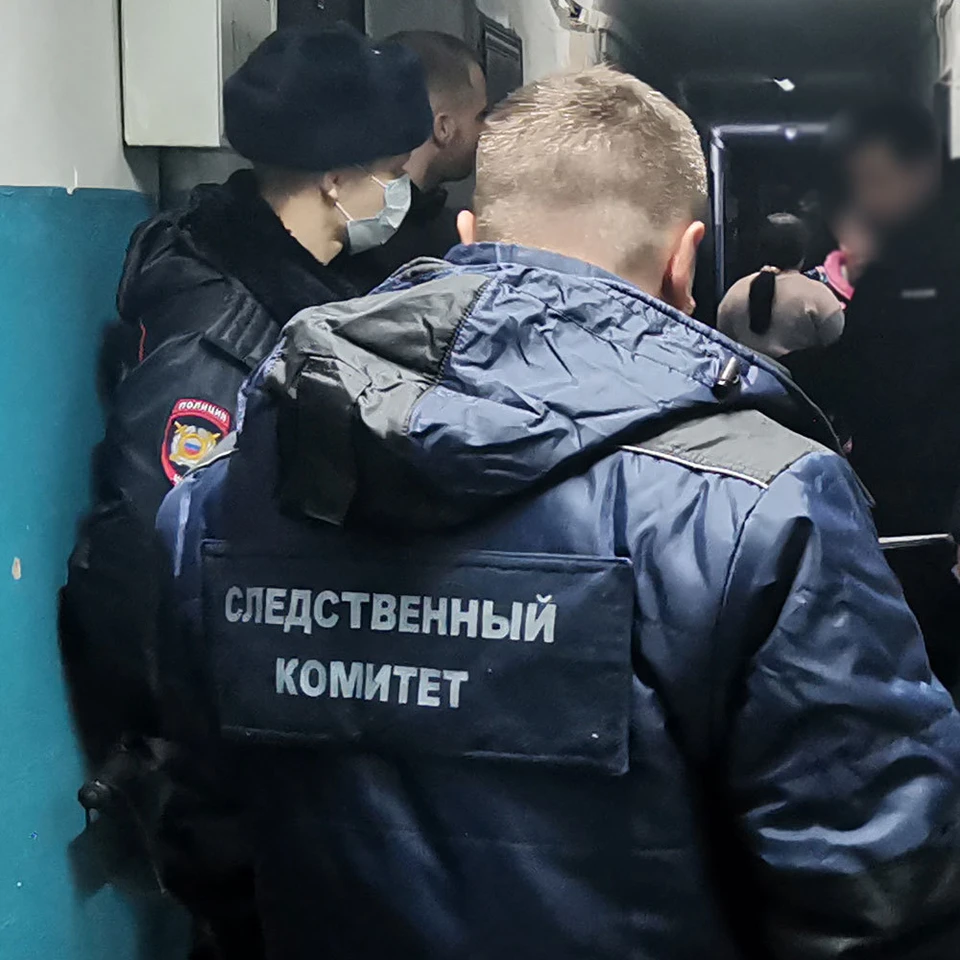 Подозреваемый уже привлекался к уголовной ответственности Фото: СУ СК России по Амурской области