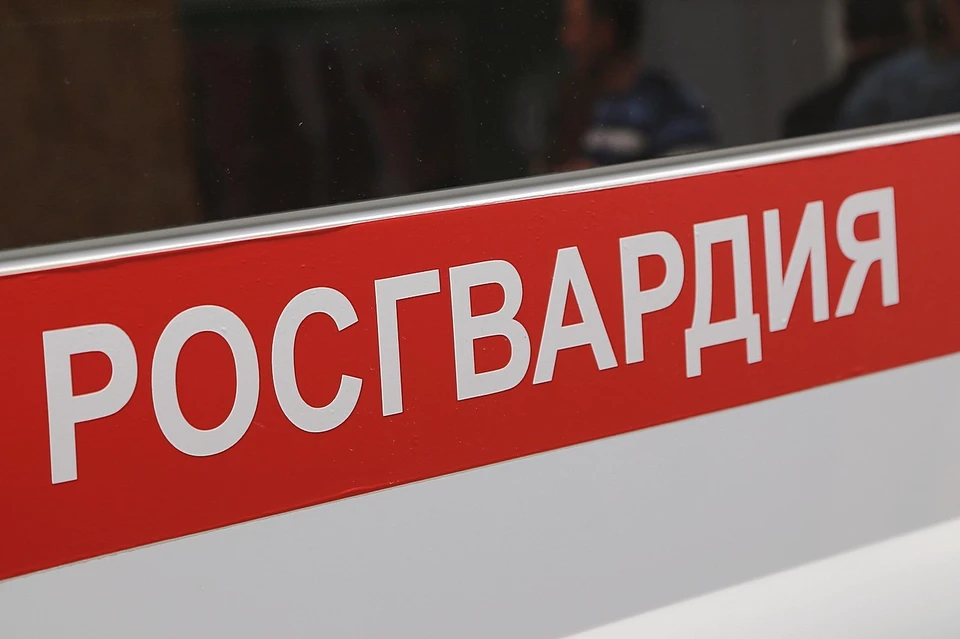 Житель Красноярска украл новогодние игрушки на 8 тысяч рублей