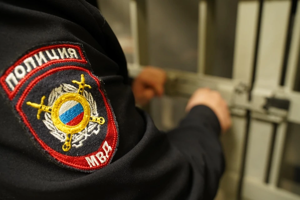 Правоохранители возбудили против тольяттинца уголовное дело