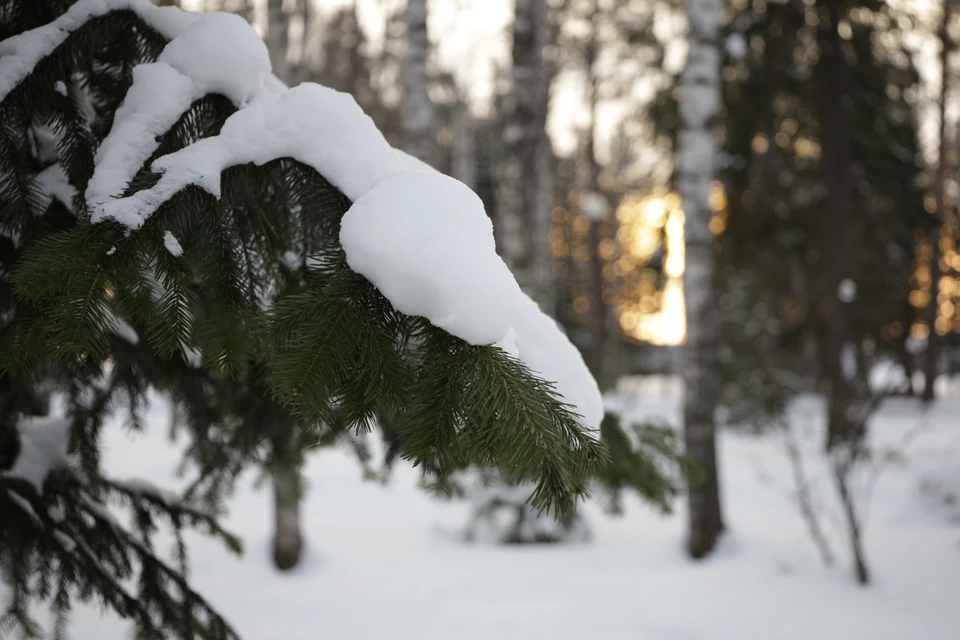 По прогнозу будет -15…-20 °С. Местами -25…-30°С.