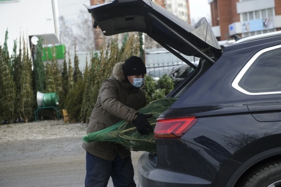 На дорогие пихты тоже найдётся свой покупатель