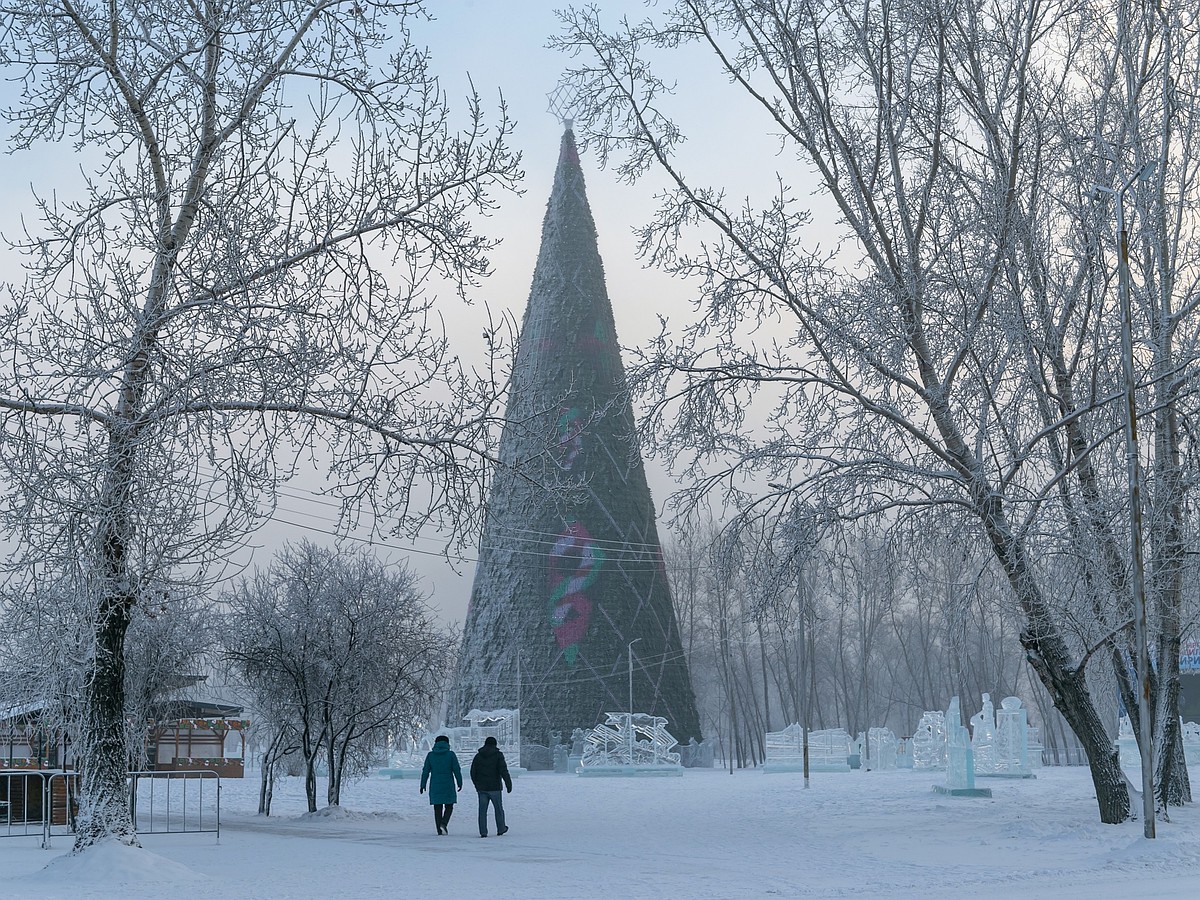 Новогодние елки в Красноярске 2022