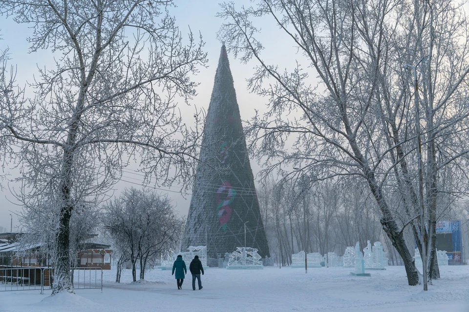 Новогодние елки в Красноярске 2021-2022: список, открытие, где находятся