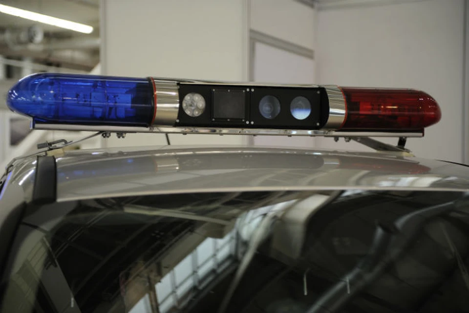 В деревне под Ярославлем пьяный муж застрелил свою жену