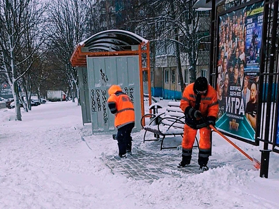 фото: со страницы администрации г. Белгорода в соцсети.