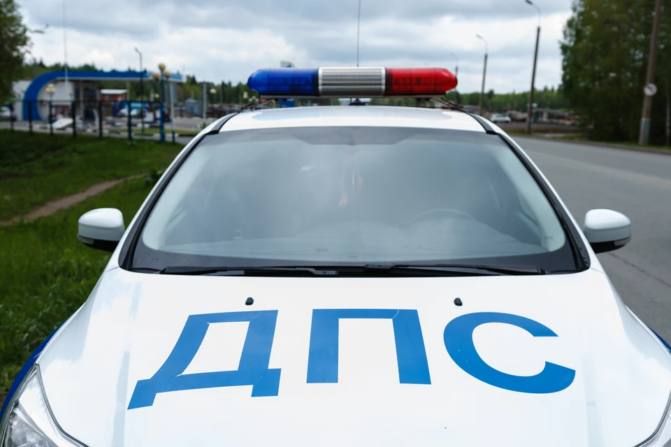 За неделю правила дорожного движения нарушили 259 пешеходов. Фото: Диля Ахмадишина