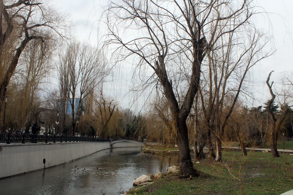 В Симферополе облачно.