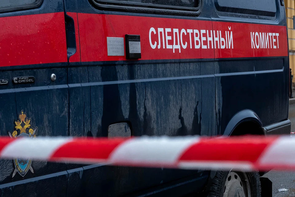 Прибывшие в Гаврино следователи и криминалисты осмотрели место прогулки, нашли Карину, а также тело маленькой дочери.