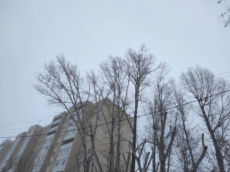 На Ямале небольшой снег.