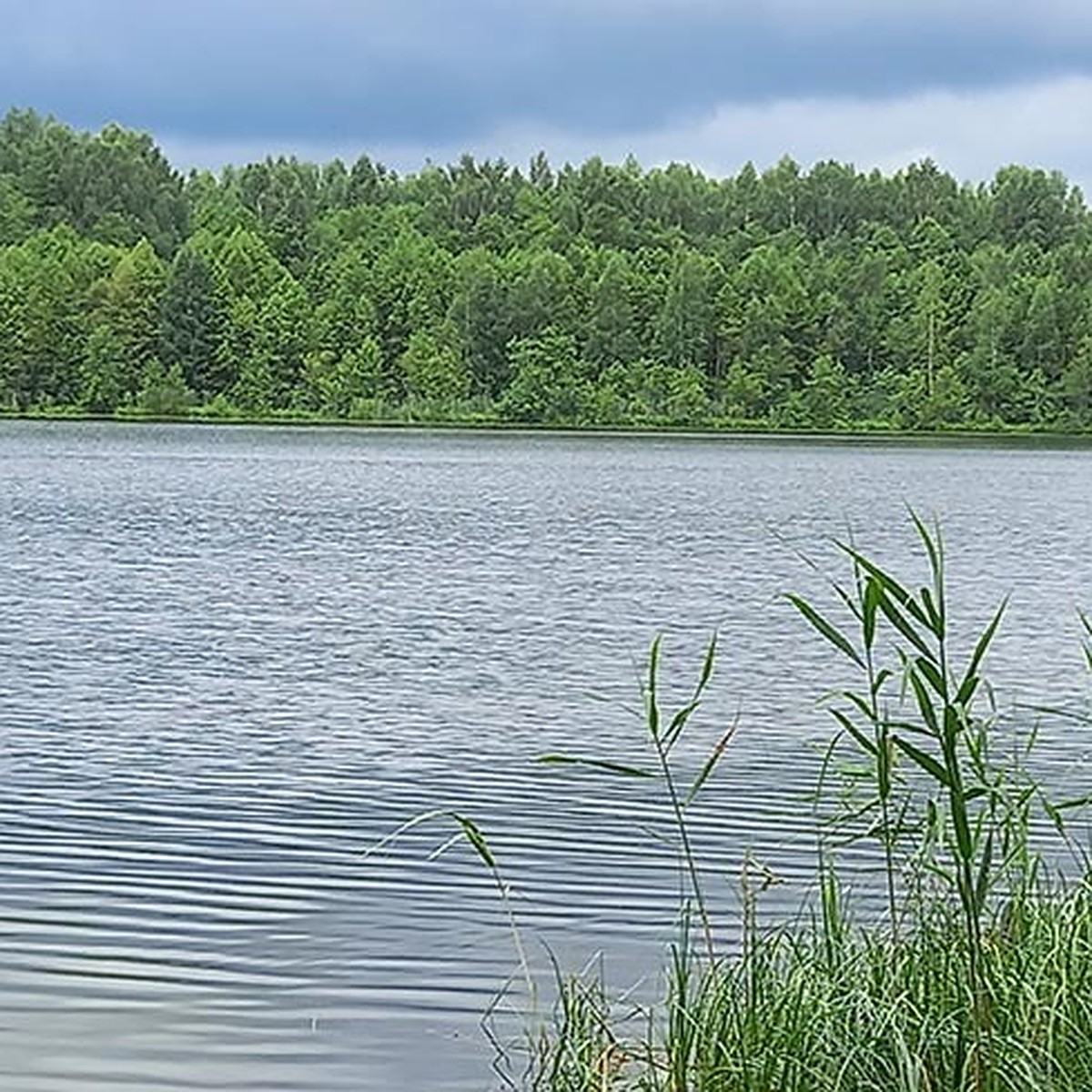 Неизведанные места нижегородского края: Сказочное озеро Светлояр - KP.RU