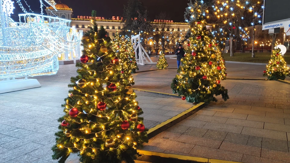 Еще несколько дней жители и гости Белгорода смогут наслаждаться новогодним украшением города. фото: Артем Гребеник.