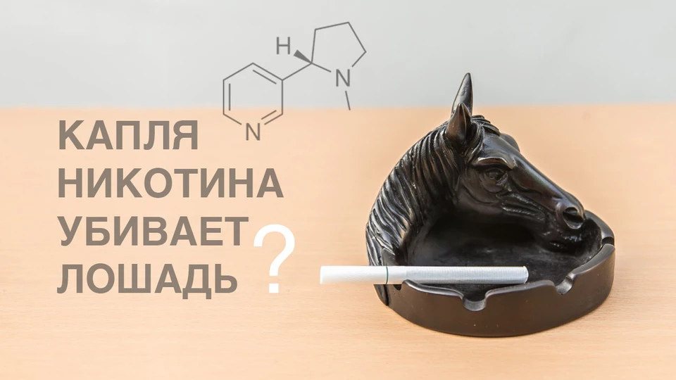 Основной причиной заболеваний, связанных с курением, является дым и смолы, которые образуются при сжигании табака.