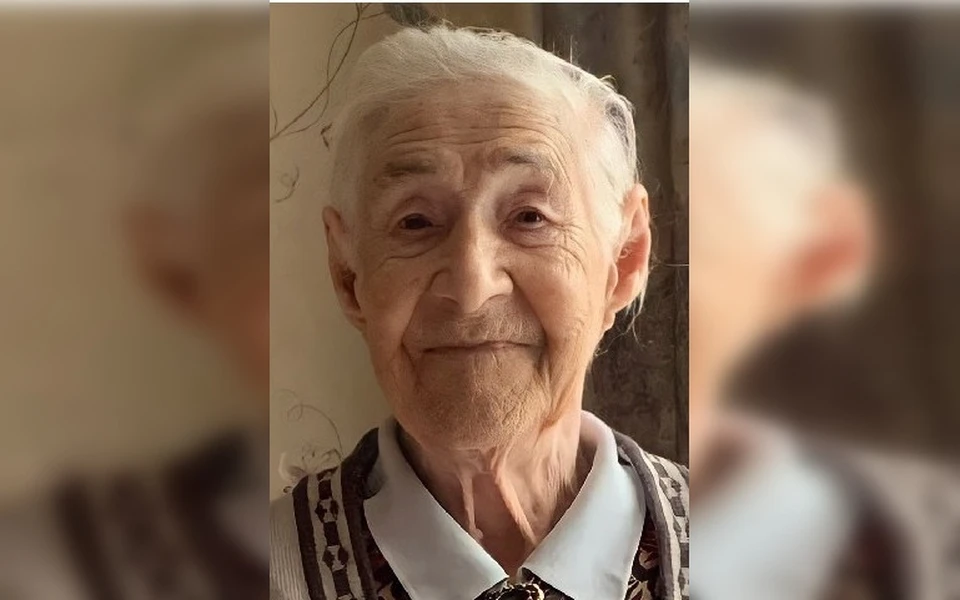 Фото: «Лиза Алерт»