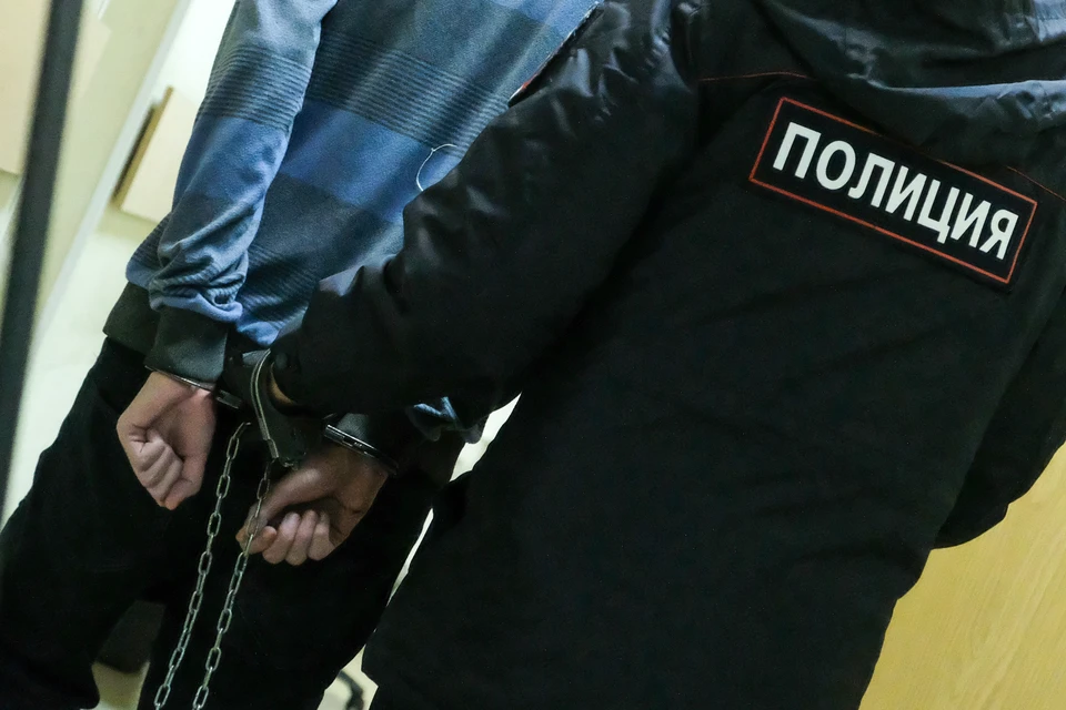 Дворника задержали за развращение 12-летней девочки в Петербурге