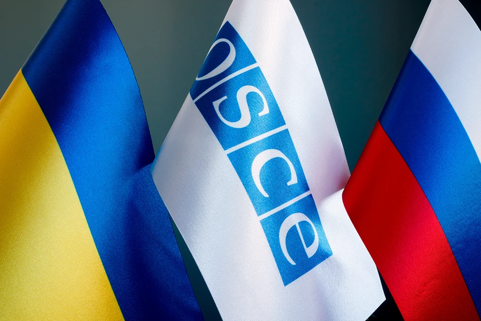 Гилмор призывает исключить Россию из ОБСЕ и «из-за ситуации, связанной с Украиной».