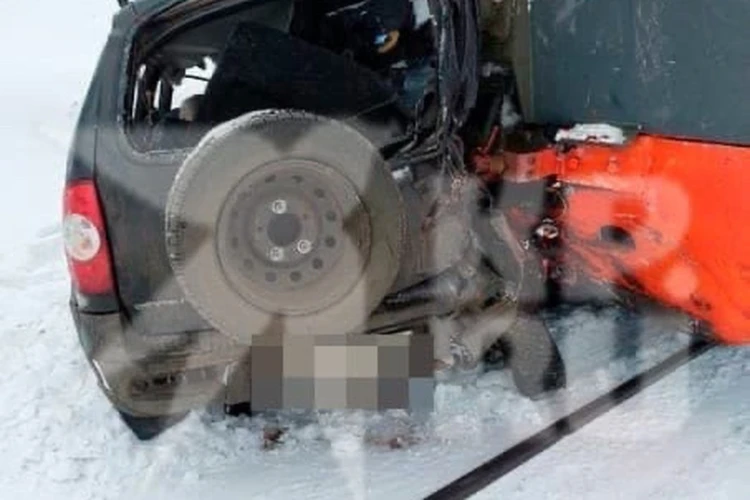 В Рязанской области три человека погибли после столкновения Chevrolet Niva с электричкой