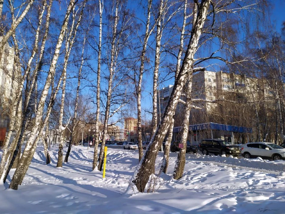 В Тюмени к вечеру похолодает.