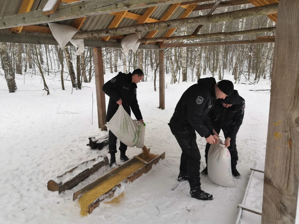 фото: с сайта губернатора и правительства Белгородской области.