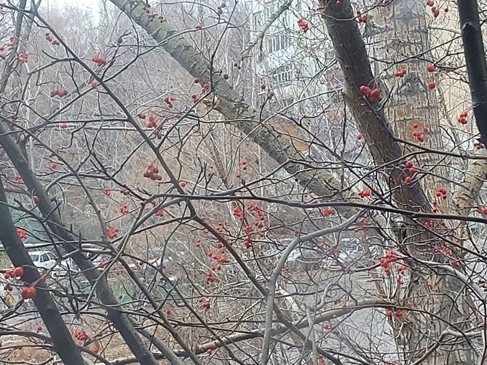В Саратове пасмурно