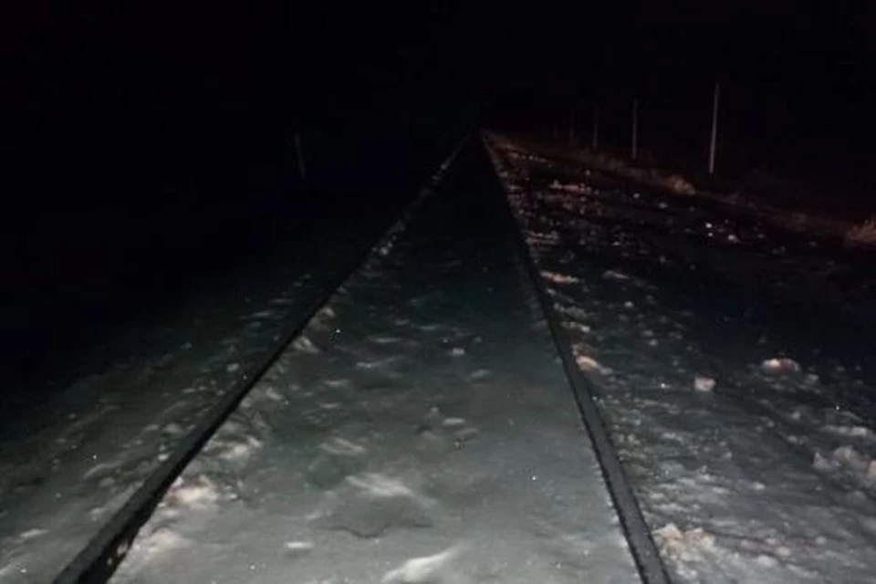 28 декабря 20. Поезд сбил девушку в Свердловской области 2021. Мужчина попал под поезд. Поезд задел мост.