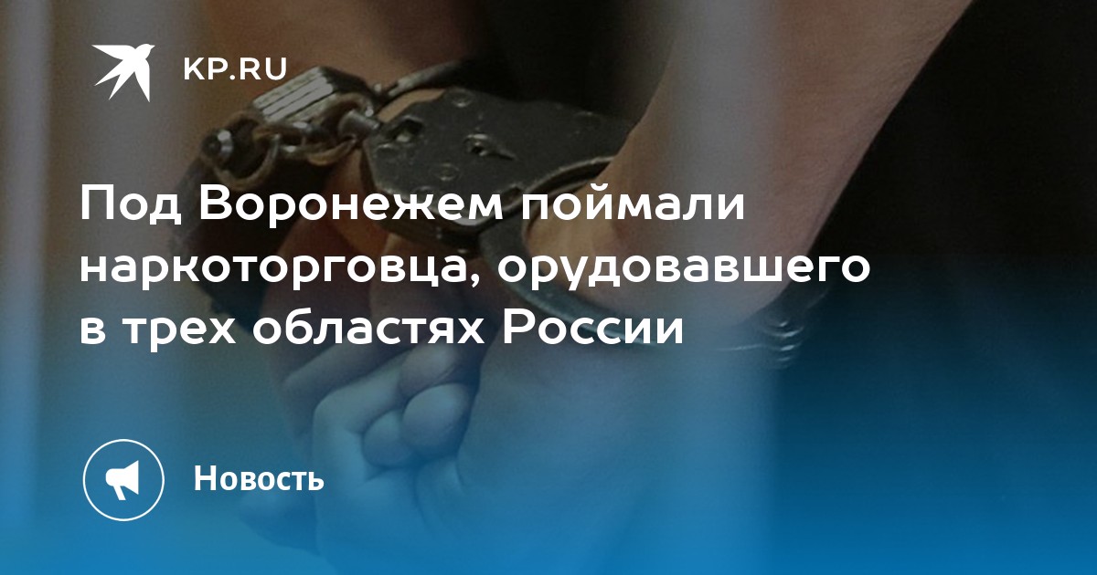 В варанаре паймон нашла рисунок