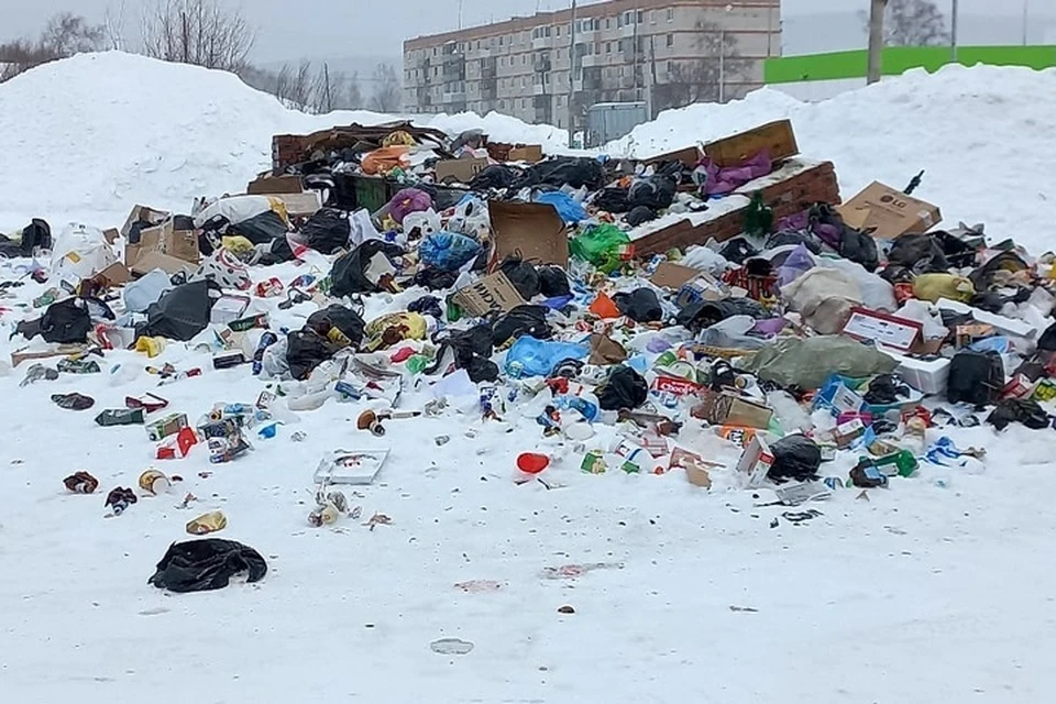 Николаевск-на-Амуре погряз в мусоре. Фото предоставлено героем публикации