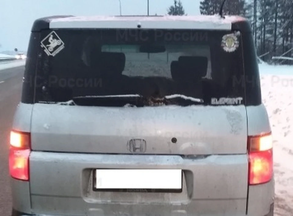 Место происшествия.