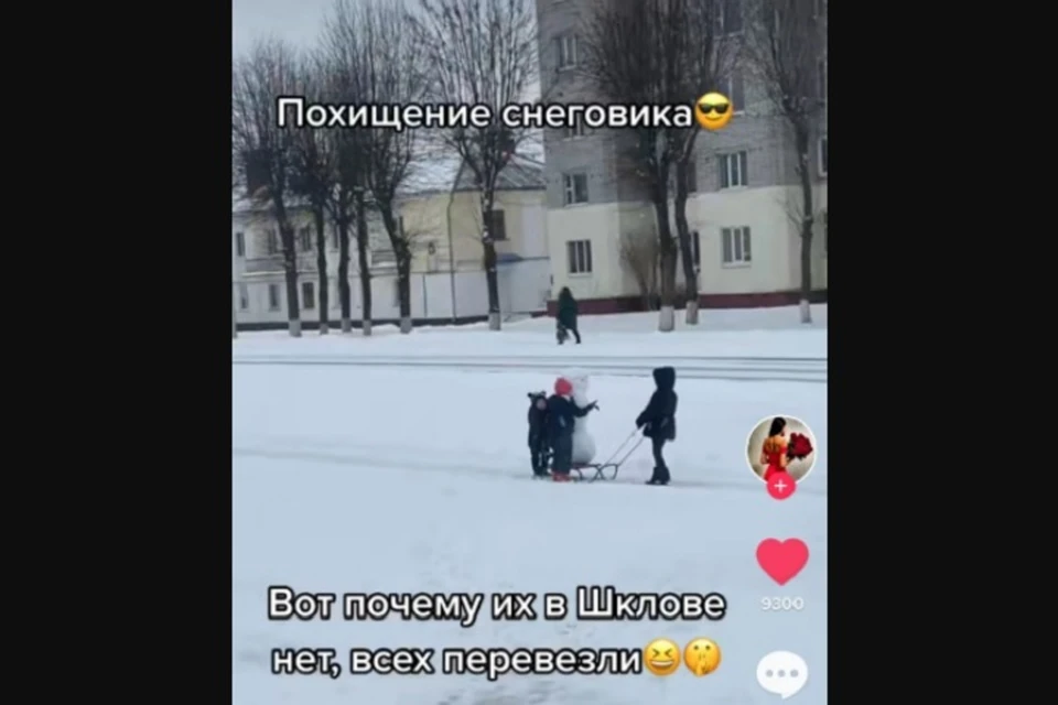 В Шклове дети прокатили снеговика на санках. Фото: стоп-кадр | TikTok @krisss1tina