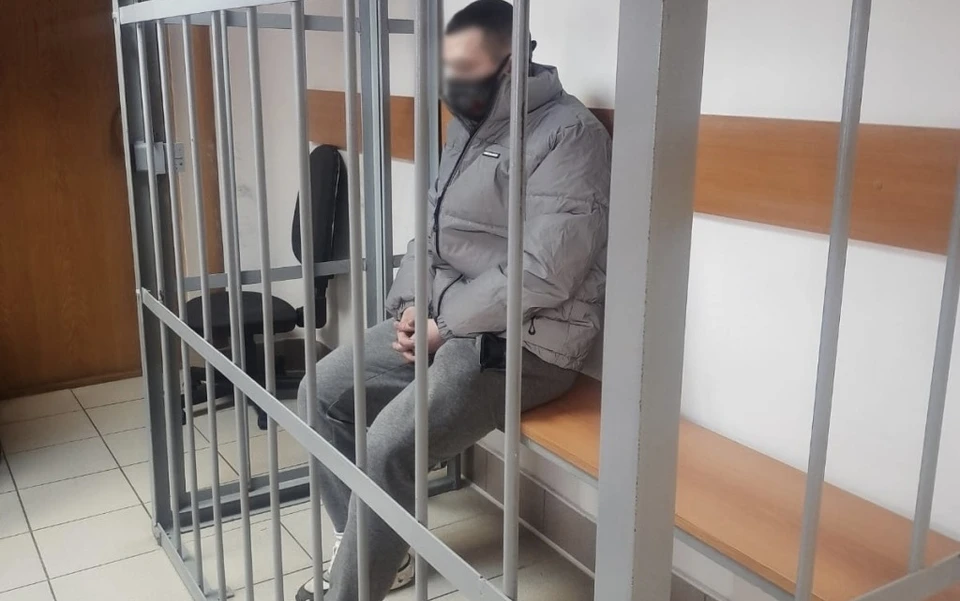 В Смоленске задержали подозреваемого в рассылке ложной информации о минировании. Фото: пресс-служба УМВД по Смоленской области.