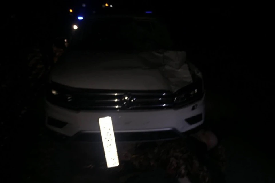 Смертельная авария произошла на трассе в Ростовской области. Фото: ГИБДД по РО