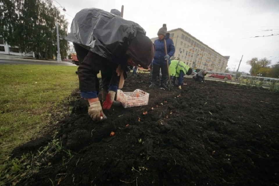 Площадь всех клуб будет составлять больше шести тысяч квадратных метров.