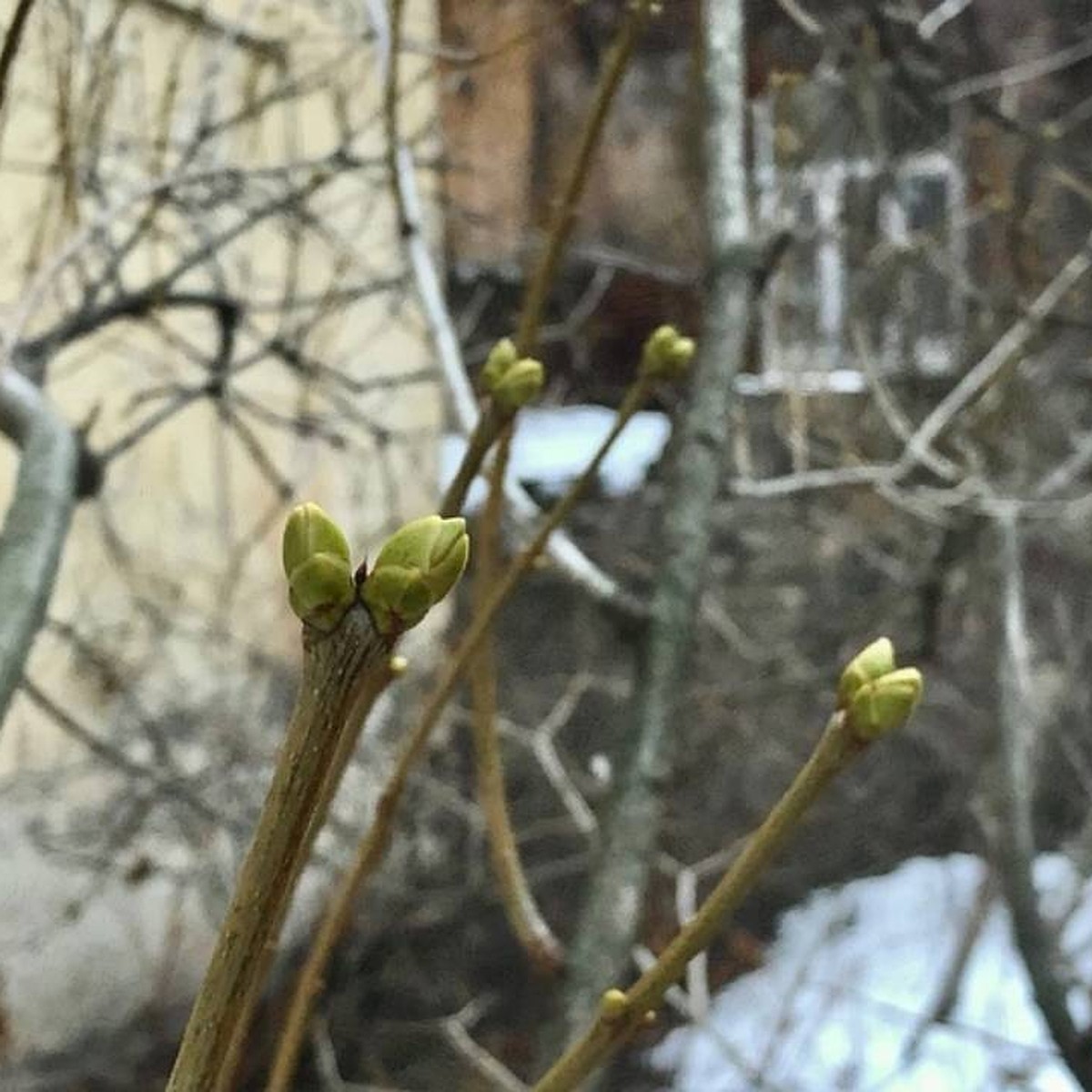 Признаки наступления событий