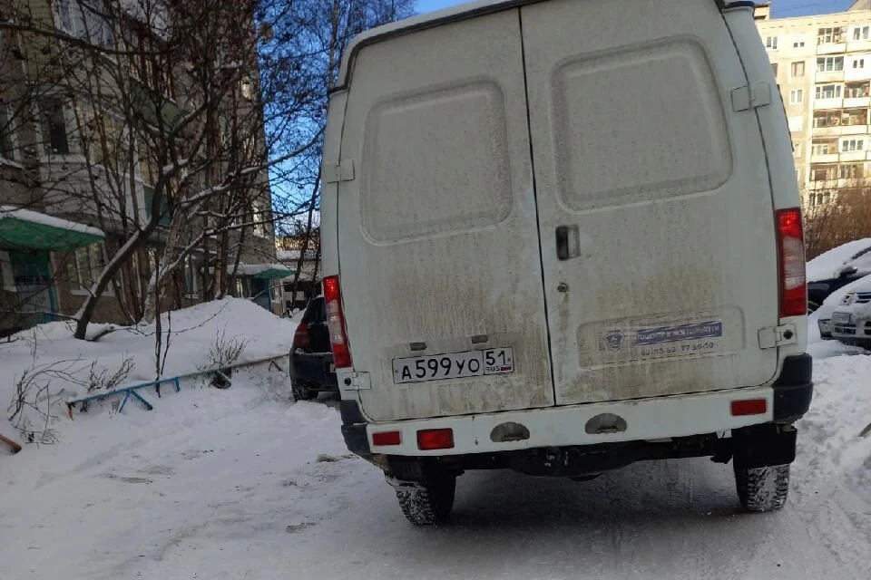 В полиции проверили информацию о стрельбе по собакам в Мурманске, которая появилась в соцсетях. Фото: Клавдия Есаян / vk.com/id566980254