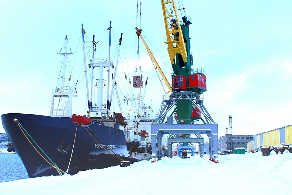 В 2022 году российские рыбаки получили квоту на вылов мойвы в Баренцевом море в объеме 28 тысяч тонн. Фото: Мурманский морской рыбный порт / vk.com/fishport51