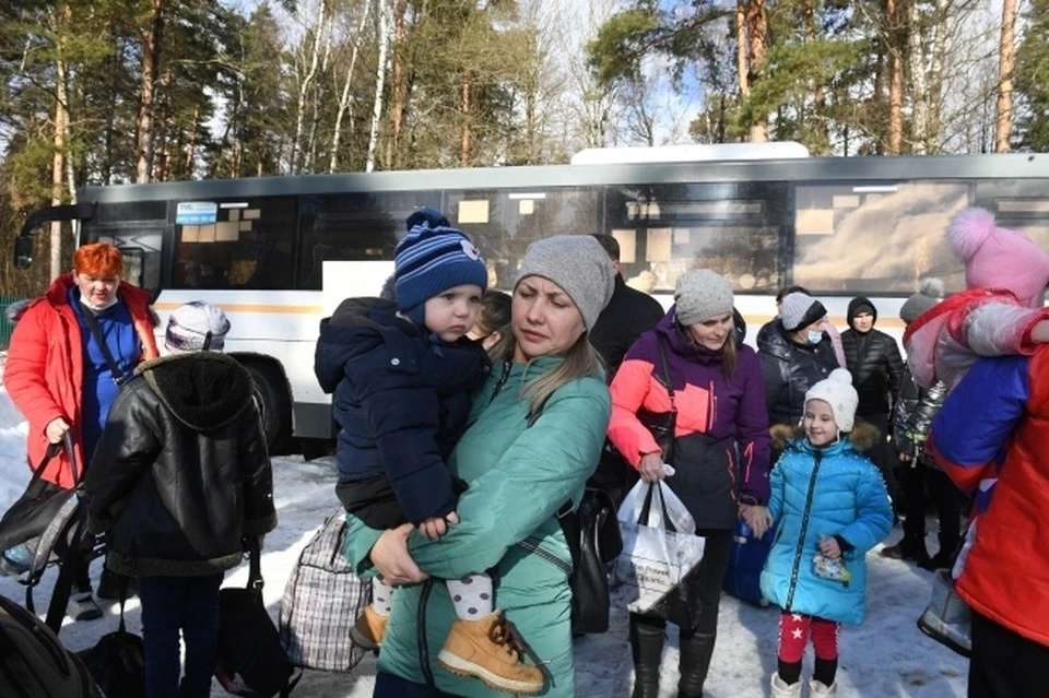 Беженцы из ДНР и ЛНР получили выплаты в Ростовской области