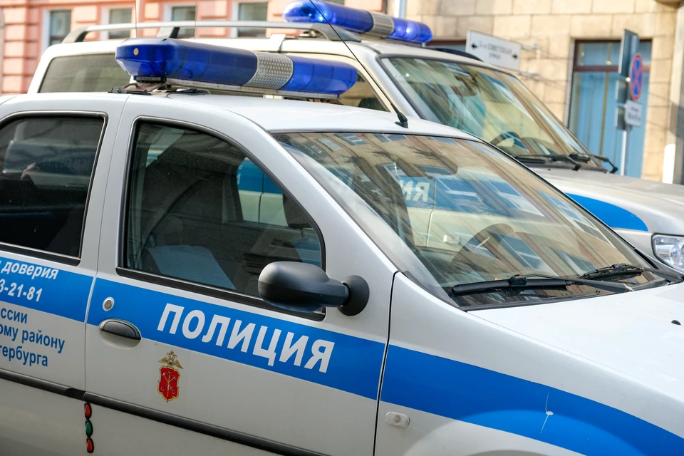Уголовное дело возбудили после обнаружения скелета младенца в Петербурге