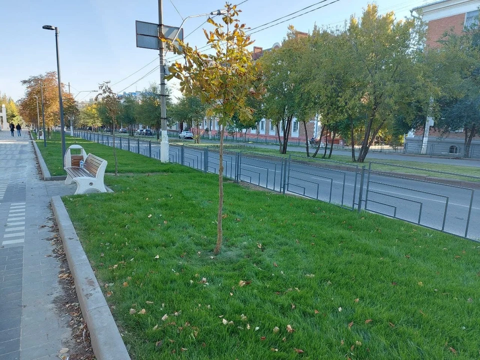 Первую часть благоустройства улицы сделали в прошлом году