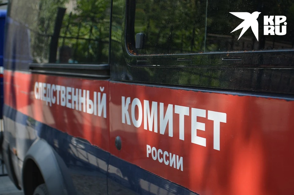 Проводится доследственная проверка.