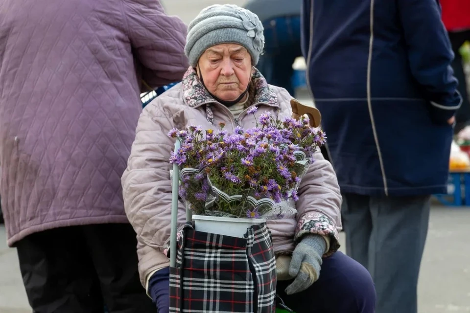 Мошенница в Петербурге обманула 90-летнюю женщину на 500 млн рублей