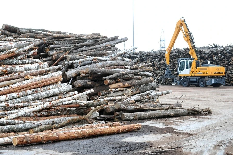 В России предложили ввести временный запрет на экспорт изделий из древесины в недружественные страны
