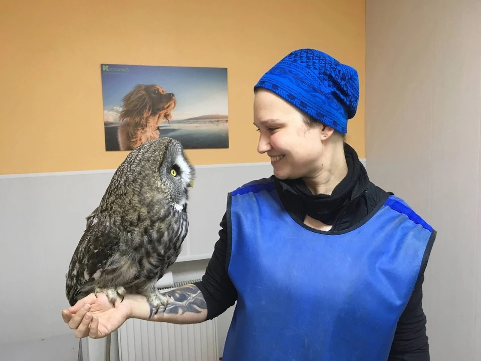 Препарат нашли и для Натальи Раевской, и для других нуждающихся северян.
