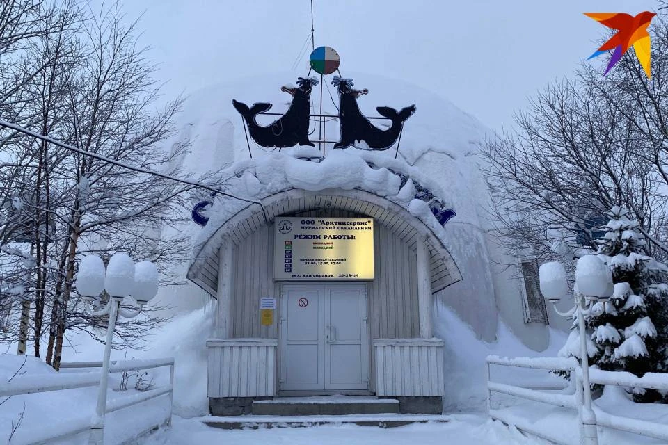 Океанариум закрыт с 1 января.