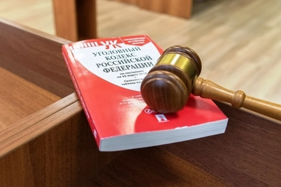 Уголовное дело с утвержденным обвинительным заключением направлено в суд. Фото пресс-службы СК РФ по Воронежской области.