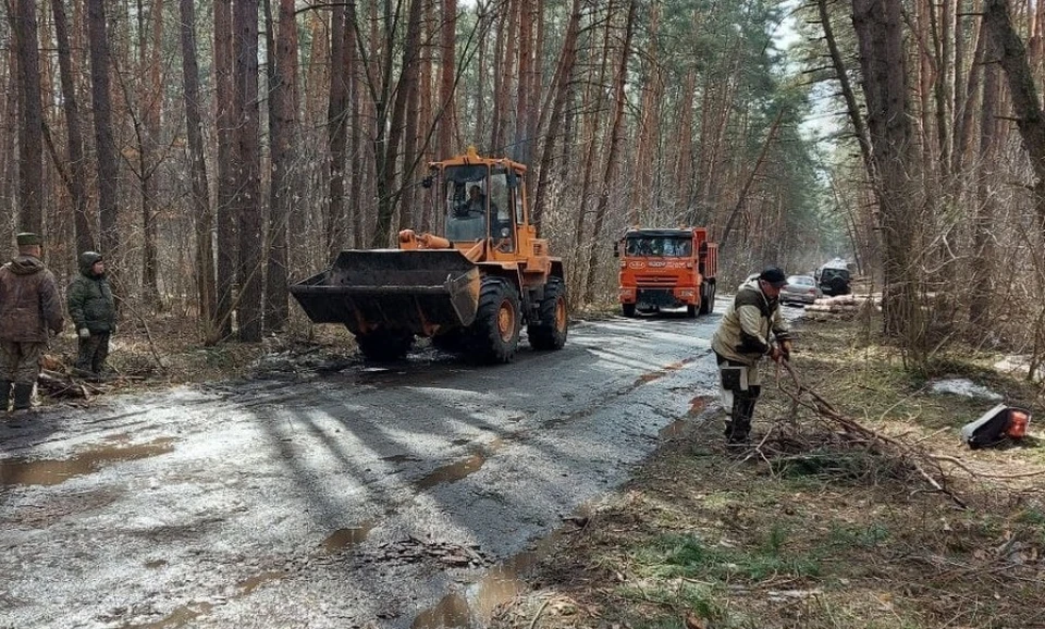 Для вывоза неликвидной древесины были задействованы трактора и КАМАЗы.