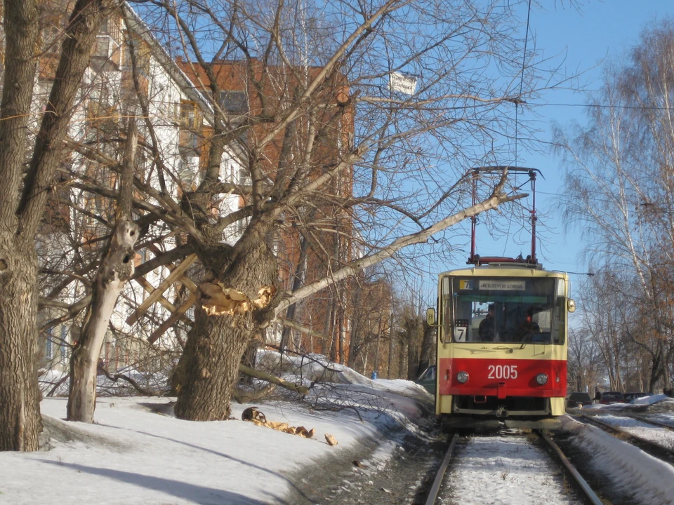 Фото: архив КП в Ижевске